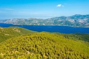Radeln Sie durch Korčulas üppige Pinienwälder